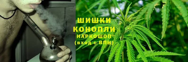 МАРИХУАНА White Widow  цены наркотик  Отрадное 